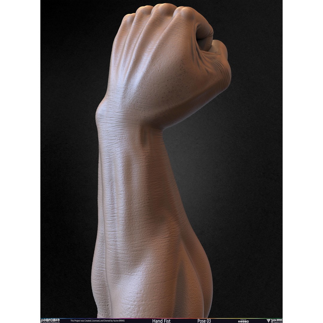 Clenched Fist 3D Model – Low Poly Game-Ready Asset, FBX - View 37