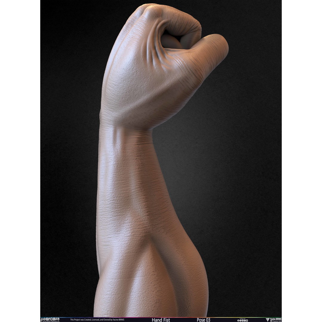 Clenched Fist 3D Model – Low Poly Game-Ready Asset, FBX - View 38