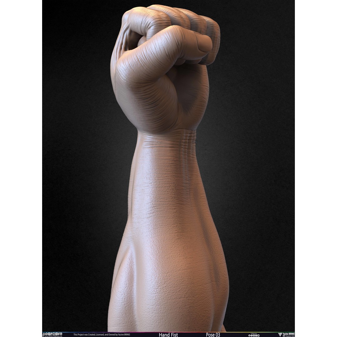 Clenched Fist 3D Model – Low Poly Game-Ready Asset, FBX - View 39