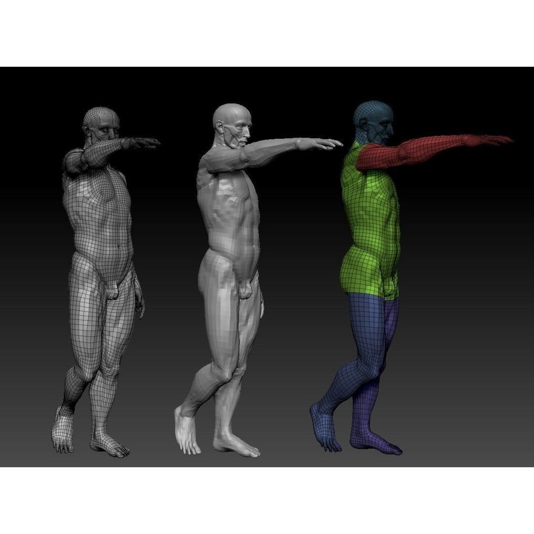 Houdon Ecorche 3D Model – Anatomical High Poly Sculpture, Ztool - View 4