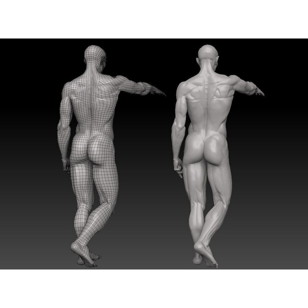 Houdon Ecorche 3D Model – Anatomical High Poly Sculpture, Ztool - View 5