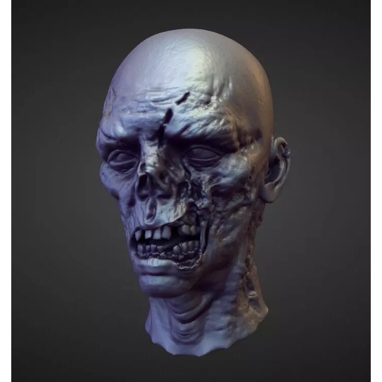 High Poly Head 3D Model – Character Sculpt for Games, OBJ