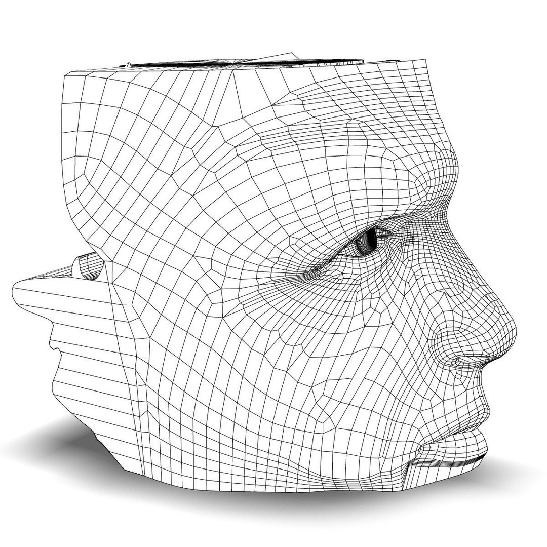 Human Nose Anatomy 3D Model – Detailed Character Anatomy, FBX