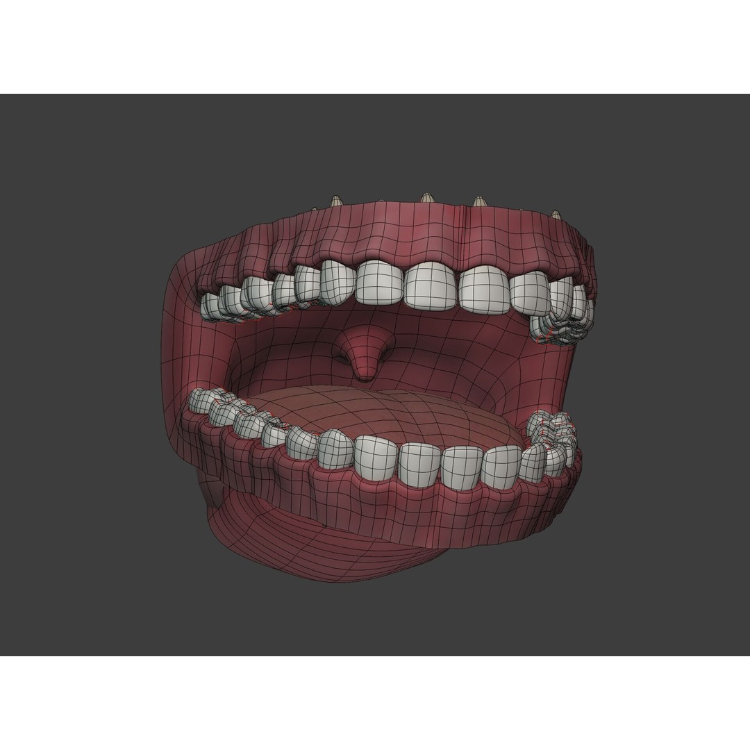 Human Anatomy 3D Model – Rigged Low-Poly Lips, Mouth & Teeth, FBX - View 14