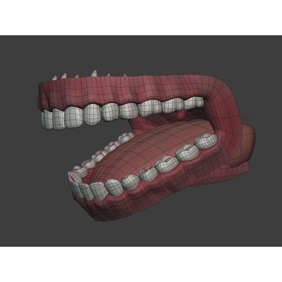 Human Anatomy 3D Model – Rigged Low-Poly Lips, Mouth & Teeth, FBX - View 17