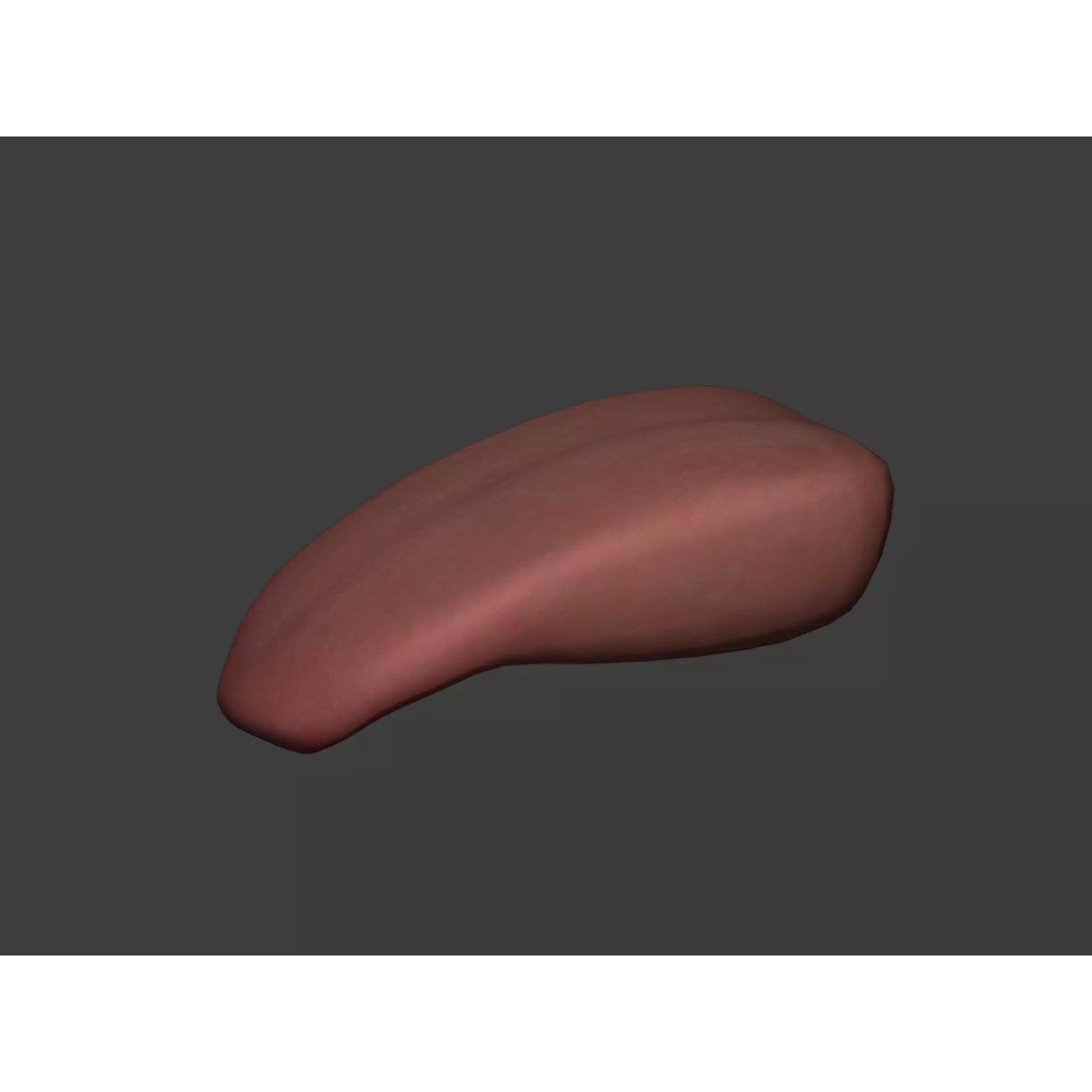Human Anatomy 3D Model – Rigged Low-Poly Lips, Mouth & Teeth, FBX - View 18