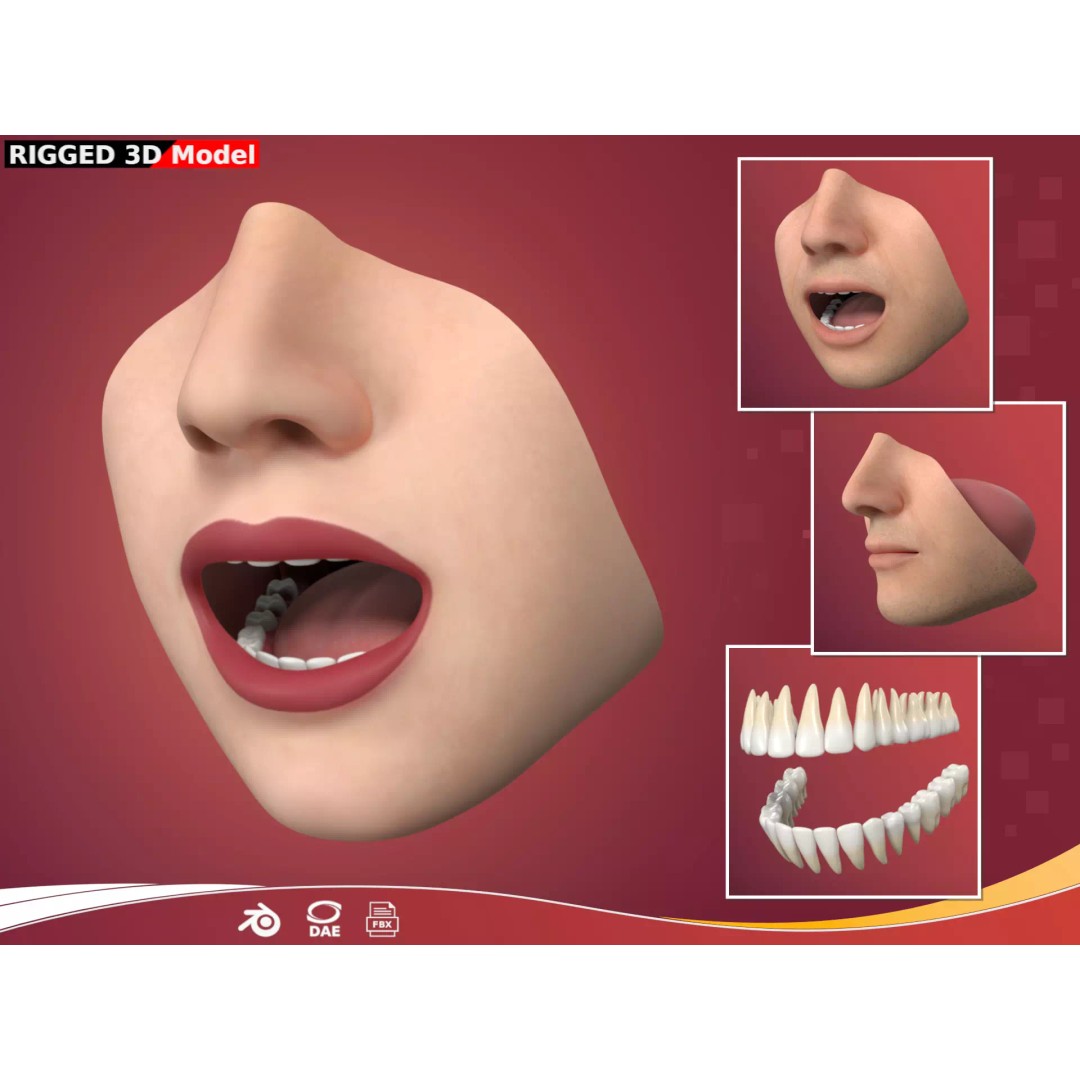 Human Anatomy 3D Model – Rigged Low-Poly Lips, Mouth & Teeth, FBX - View 2