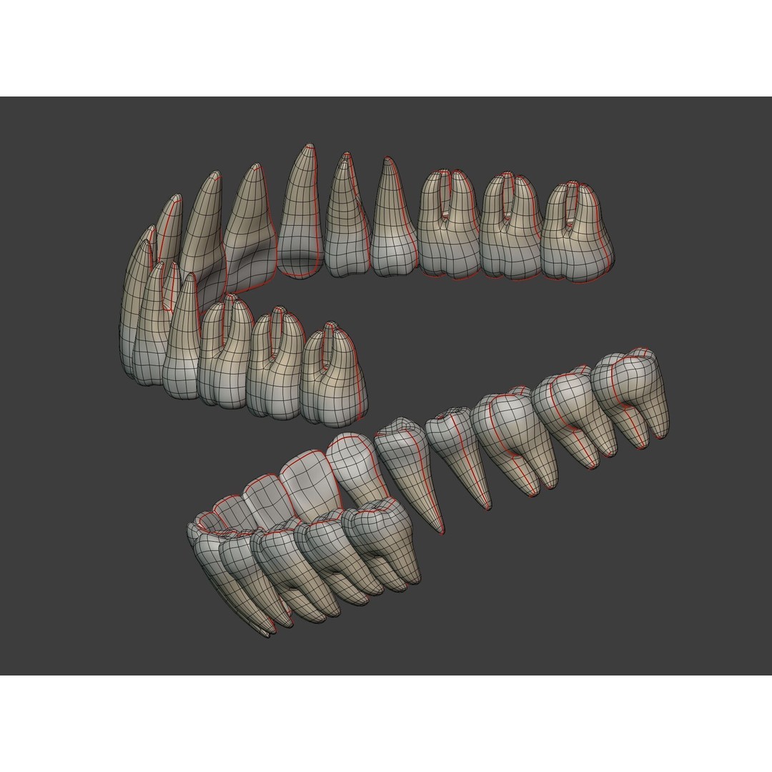 Human Anatomy 3D Model – Rigged Low-Poly Lips, Mouth & Teeth, FBX - View 21