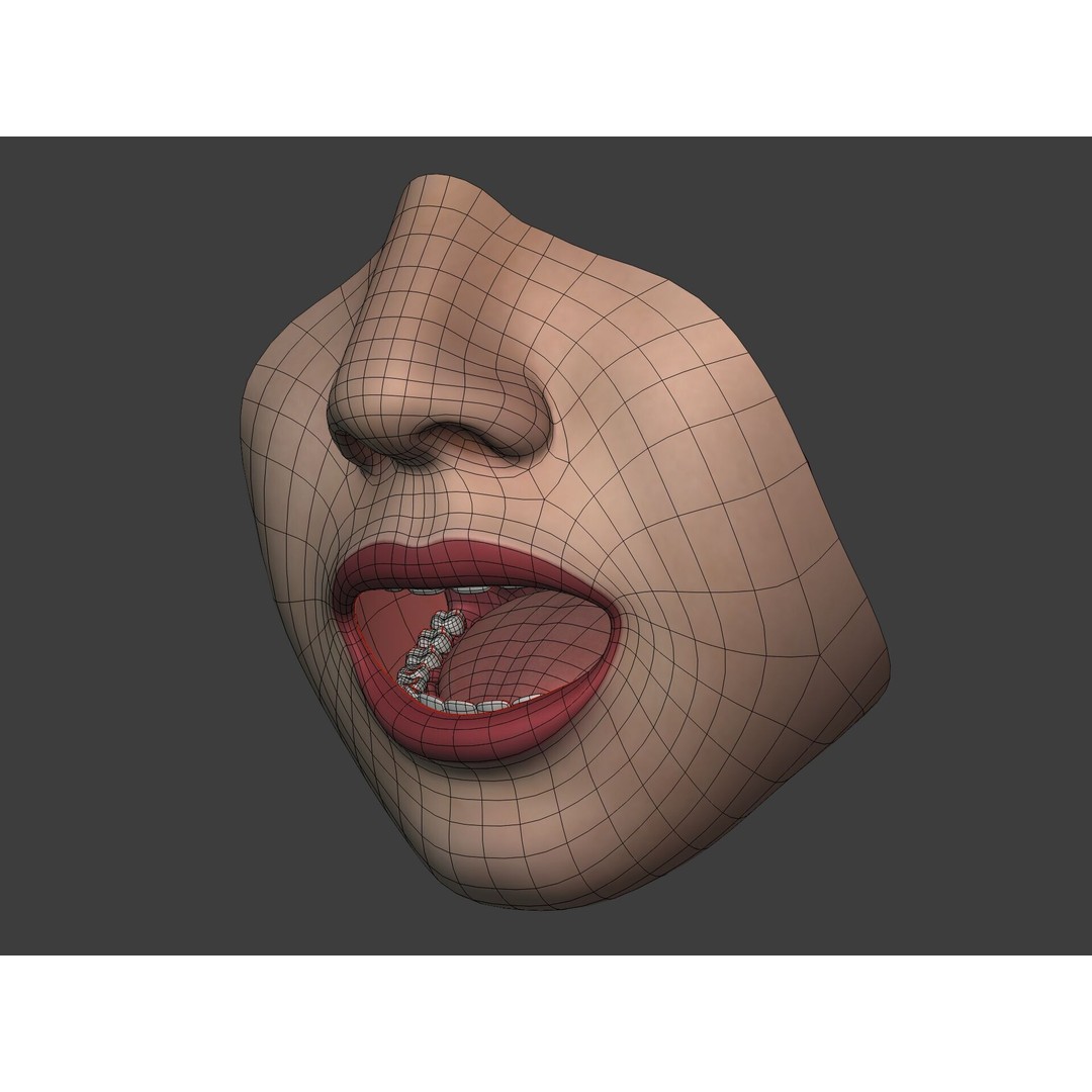 Human Anatomy 3D Model – Rigged Low-Poly Lips, Mouth & Teeth, FBX - View 4