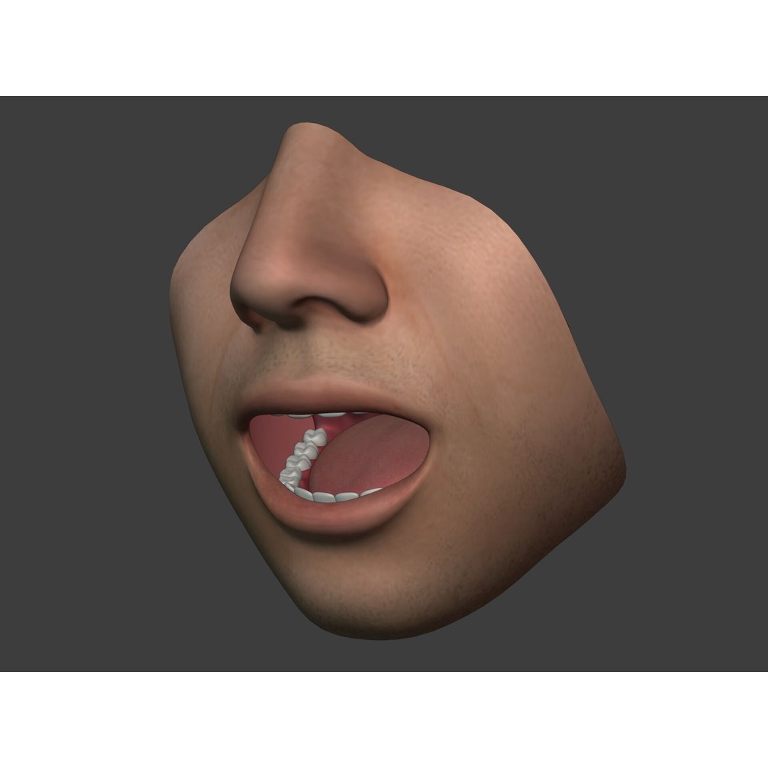 Human Anatomy 3D Model – Rigged Low-Poly Lips, Mouth & Teeth, FBX - View 5