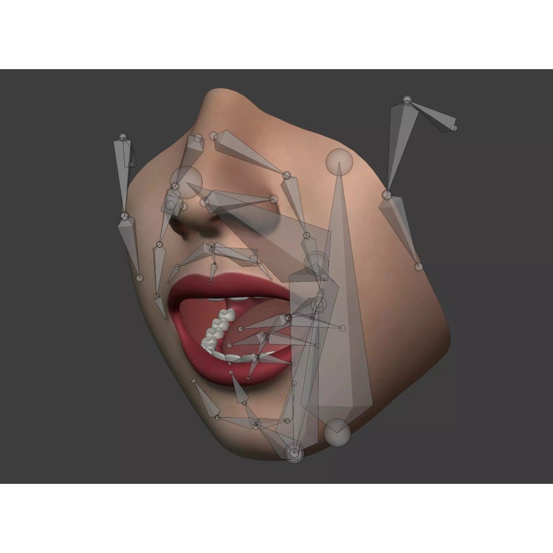 Human Anatomy 3D Model – Rigged Low-Poly Lips, Mouth & Teeth, FBX - View 6