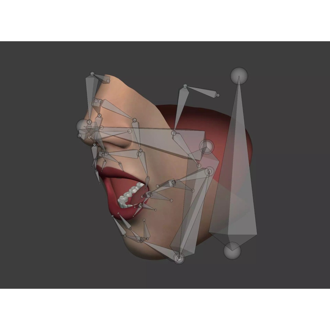 Human Anatomy 3D Model – Rigged Low-Poly Lips, Mouth & Teeth, FBX - View 7