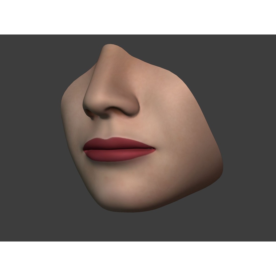Human Anatomy 3D Model – Rigged Low-Poly Lips, Mouth & Teeth, FBX - View 8