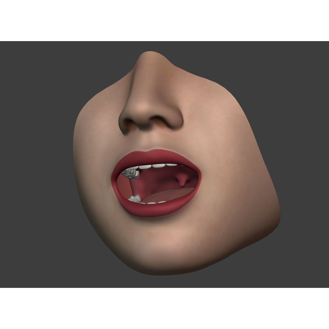 Human Anatomy 3D Model – Rigged Low-Poly Lips, Mouth & Teeth, FBX - View 9