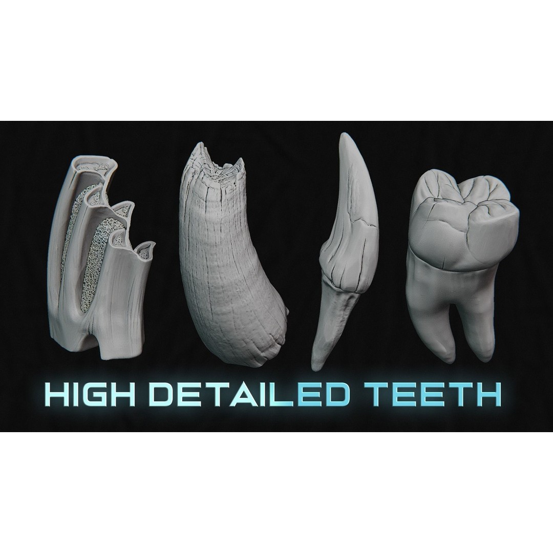 Creature Teeth 3D Model – High Poly PBR Sculpt, FBX & OBJ Formats - View 10