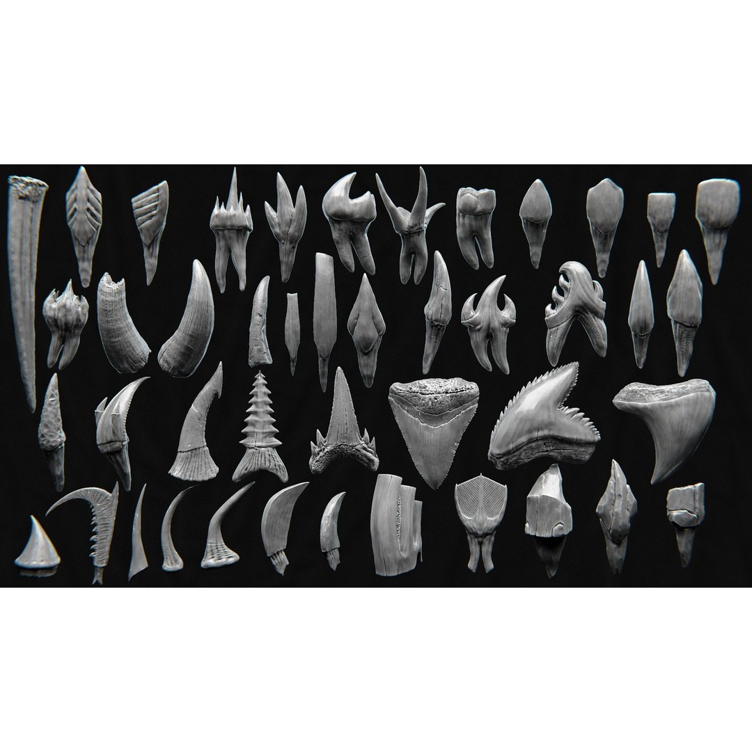 Creature Teeth 3D Model – High Poly PBR Sculpt, FBX & OBJ Formats - View 5