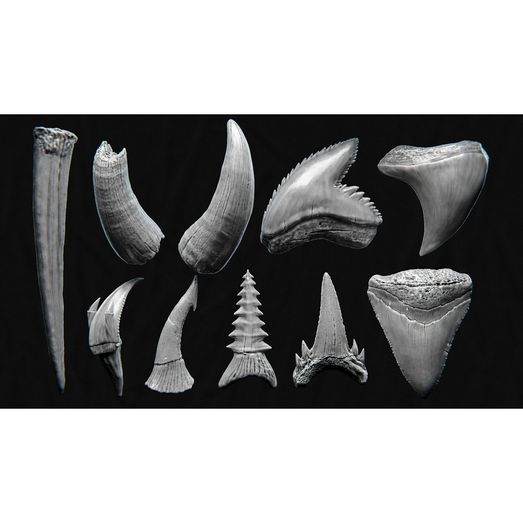 Creature Teeth 3D Model – High Poly PBR Sculpt, FBX & OBJ Formats - View 6