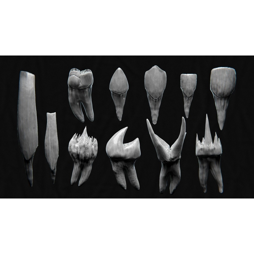 Creature Teeth 3D Model – High Poly PBR Sculpt, FBX & OBJ Formats - View 7