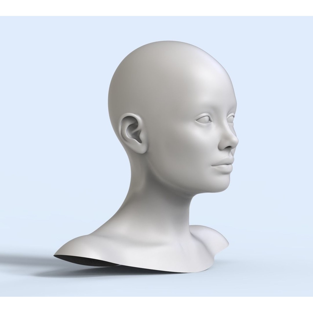 Female Character 3D Model – Low Poly Portrait Doll, FBX - View 3
