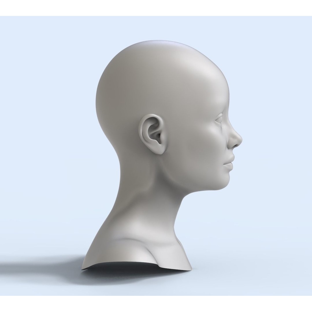 Female Character 3D Model – Low Poly Portrait Doll, FBX - View 6