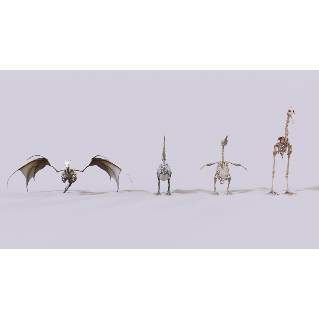 Ultimate Skeleton and Skull Pack 3D Model – Low Poly Game-Ready Assets, FBX - View 18