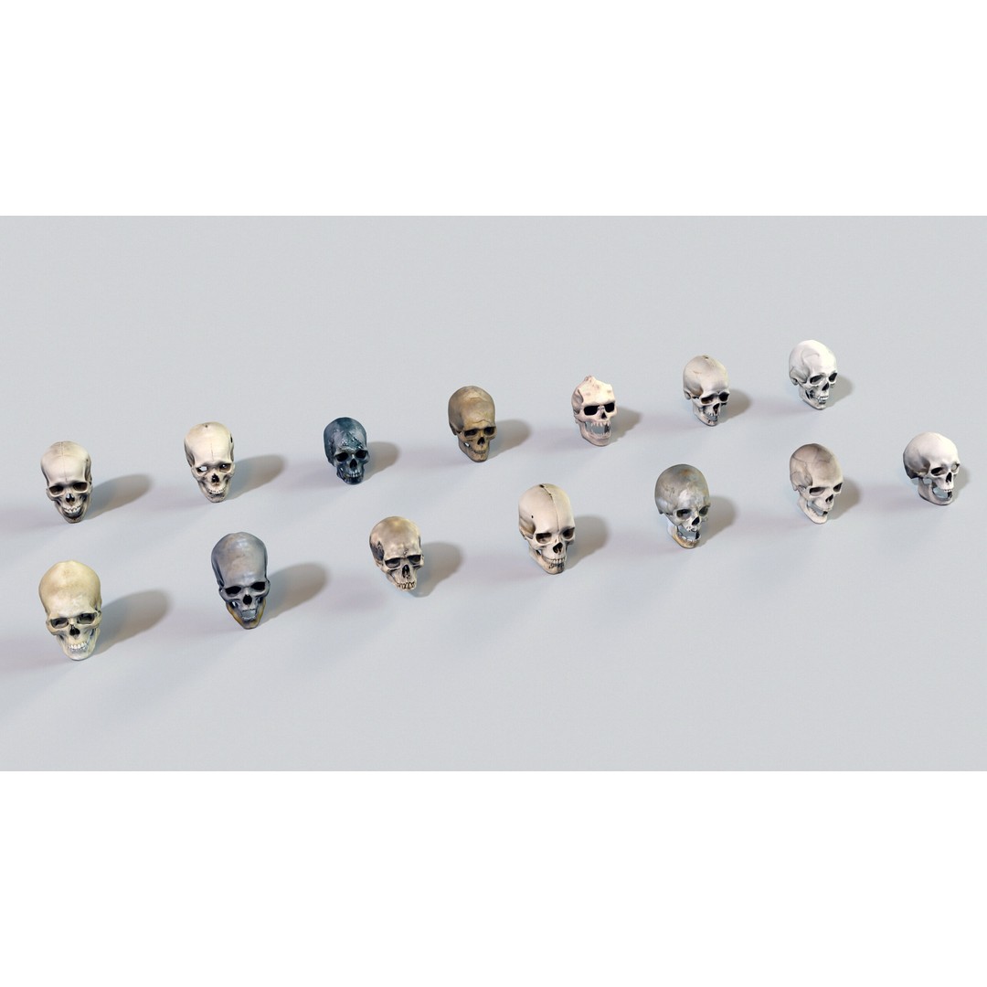 Ultimate Skeleton and Skull Pack 3D Model – Low Poly Game-Ready Assets, FBX - View 22