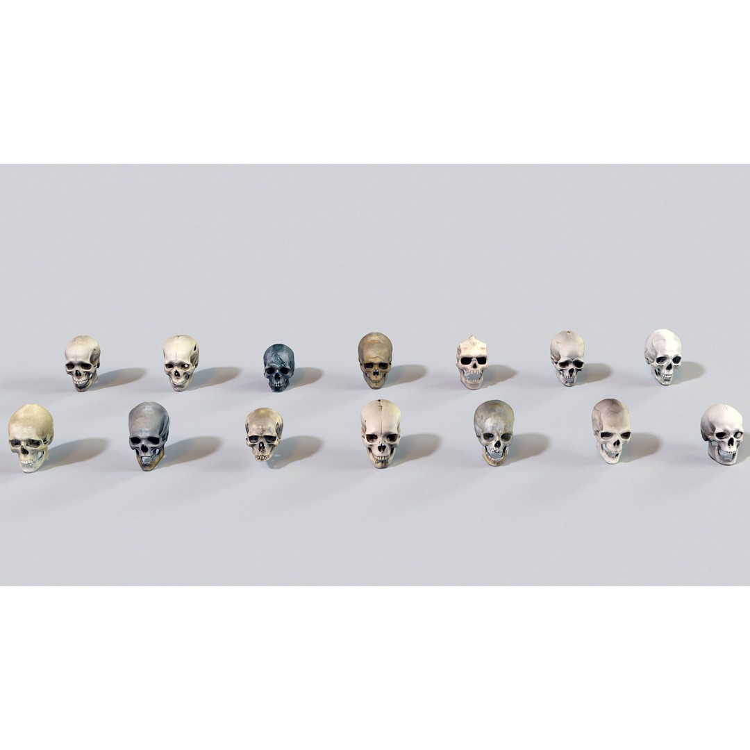 Ultimate Skeleton and Skull Pack 3D Model – Low Poly Game-Ready Assets, FBX - View 23