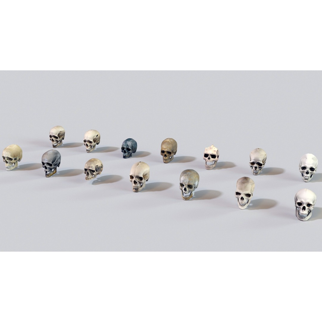 Ultimate Skeleton and Skull Pack 3D Model – Low Poly Game-Ready Assets, FBX - View 24