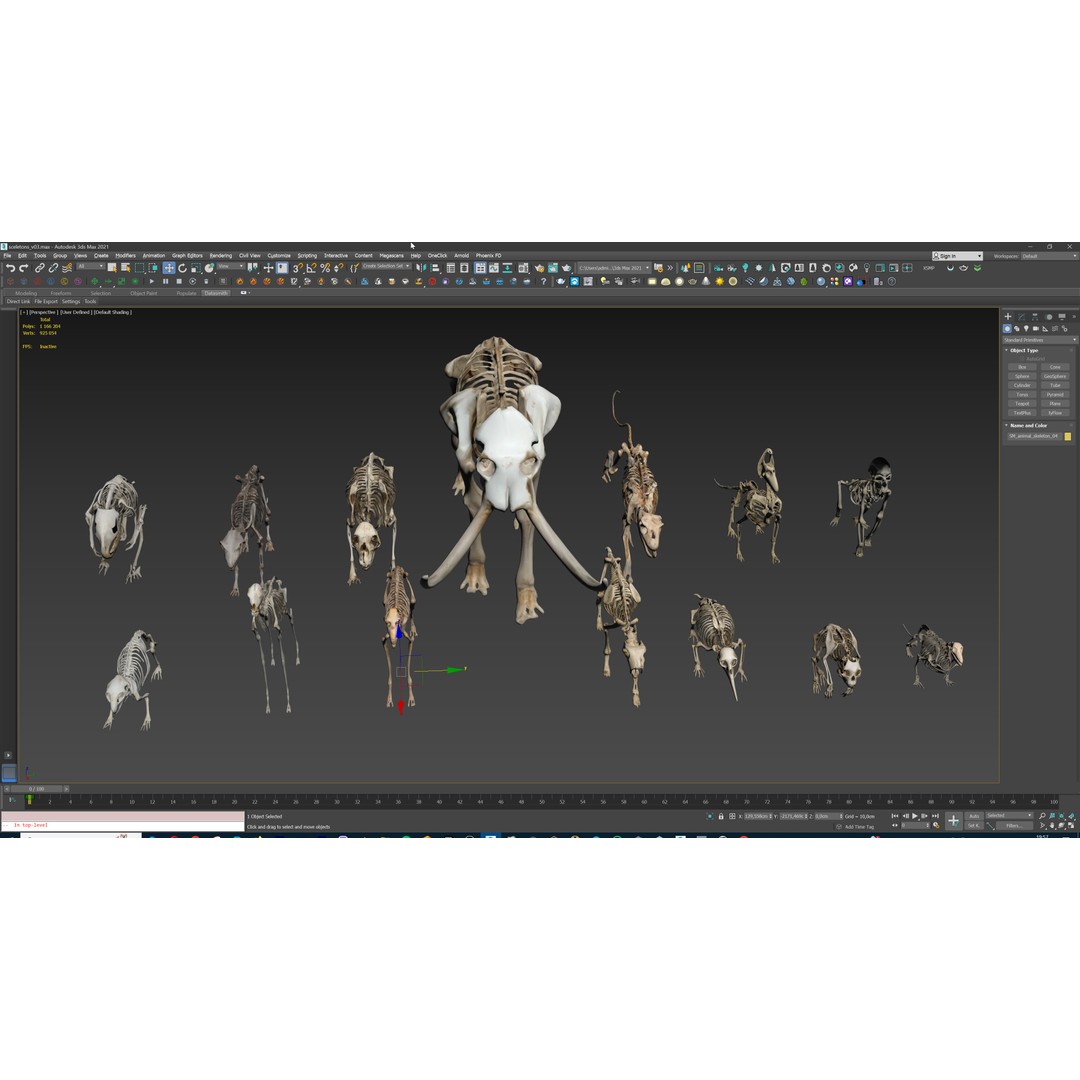 Ultimate Skeleton and Skull Pack 3D Model – Low Poly Game-Ready Assets, FBX - View 34