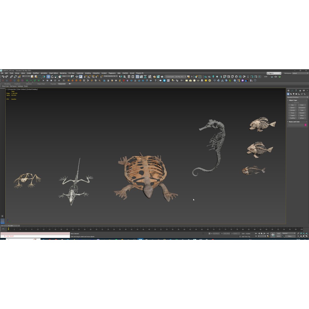 Ultimate Skeleton and Skull Pack 3D Model – Low Poly Game-Ready Assets, FBX - View 38