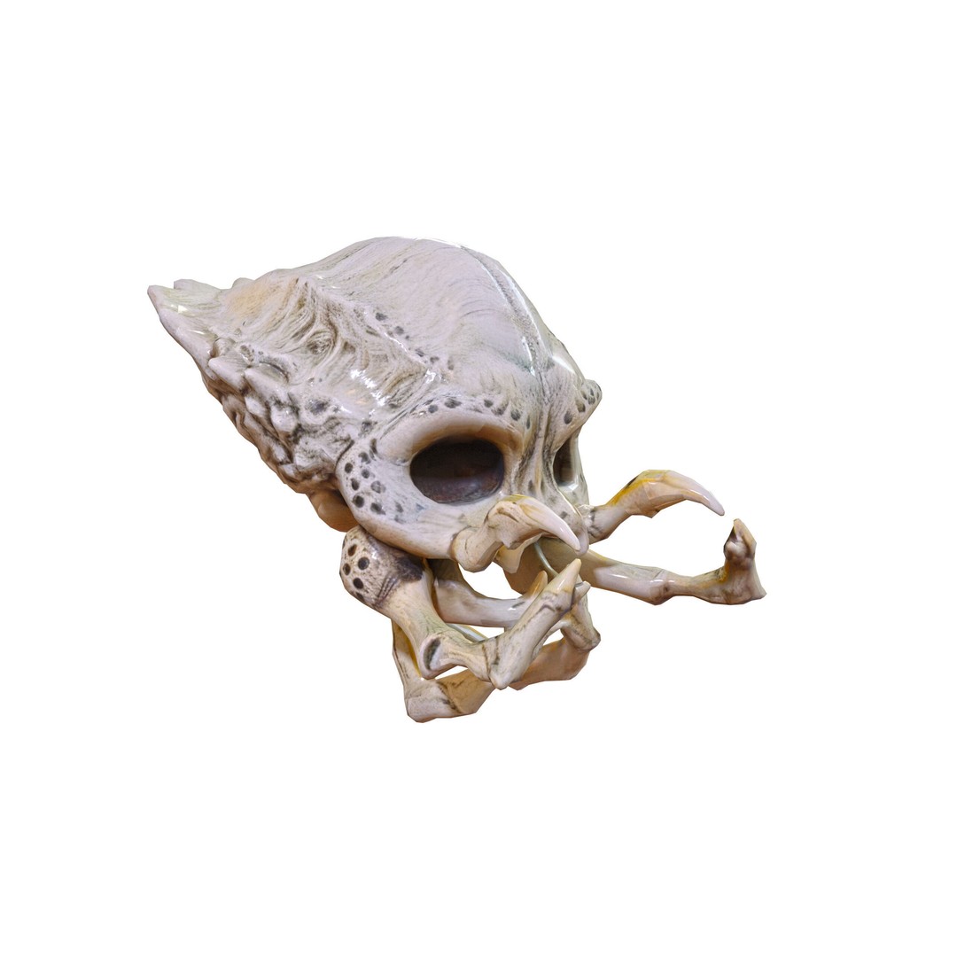 Ultimate Skeleton and Skull Pack 3D Model – Low Poly Game-Ready Assets, FBX - View 4