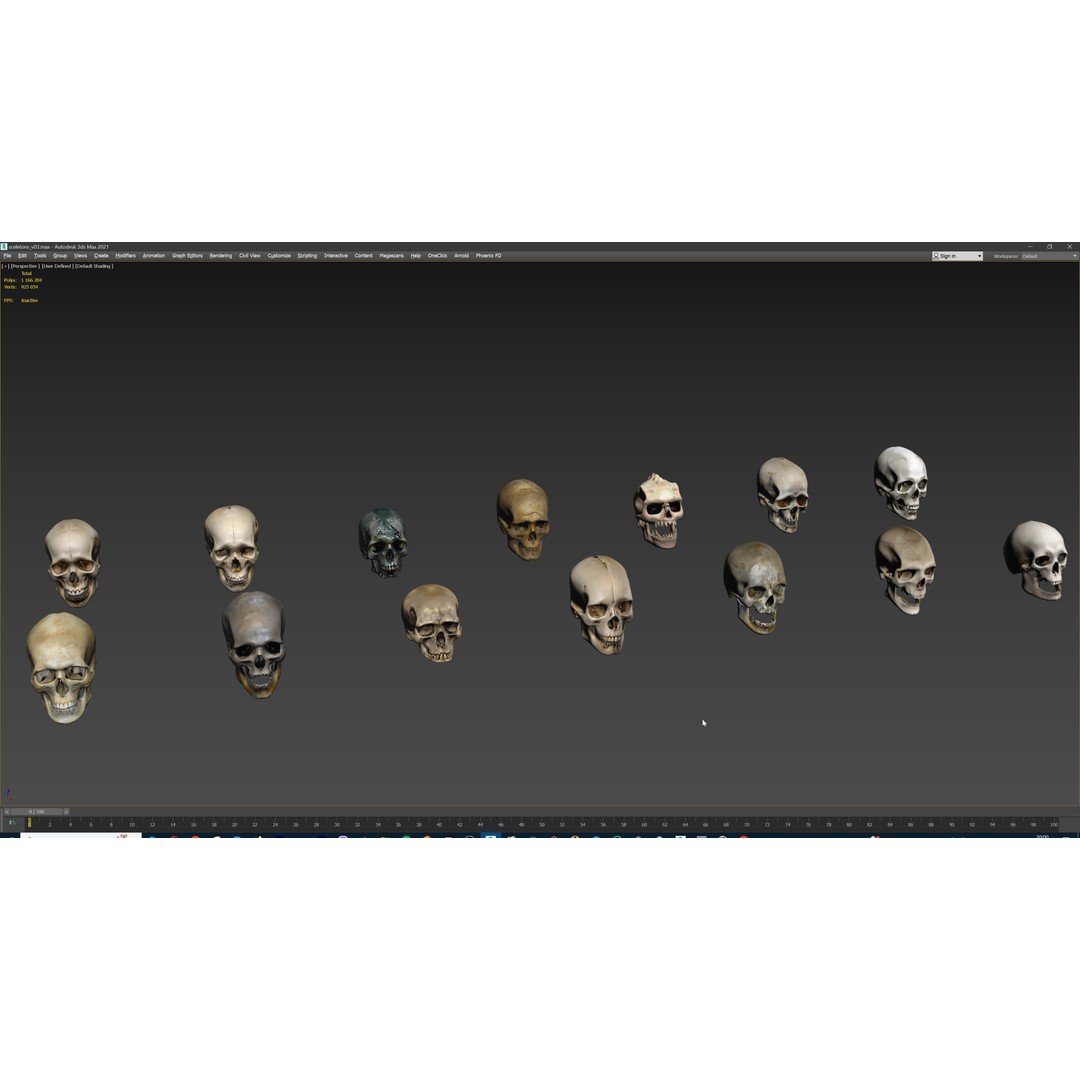 Ultimate Skeleton and Skull Pack 3D Model – Low Poly Game-Ready Assets, FBX - View 40