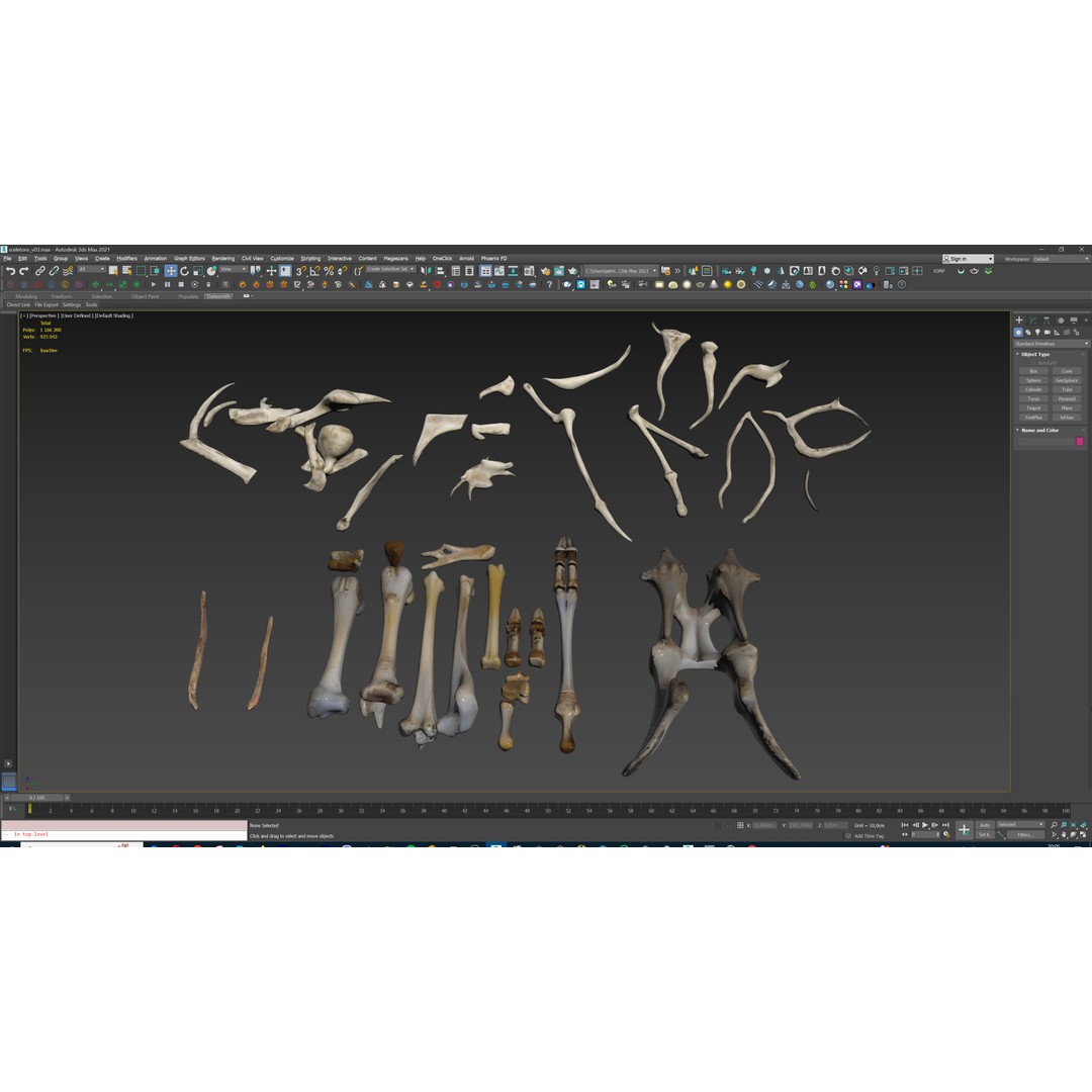 Ultimate Skeleton and Skull Pack 3D Model – Low Poly Game-Ready Assets, FBX - View 44