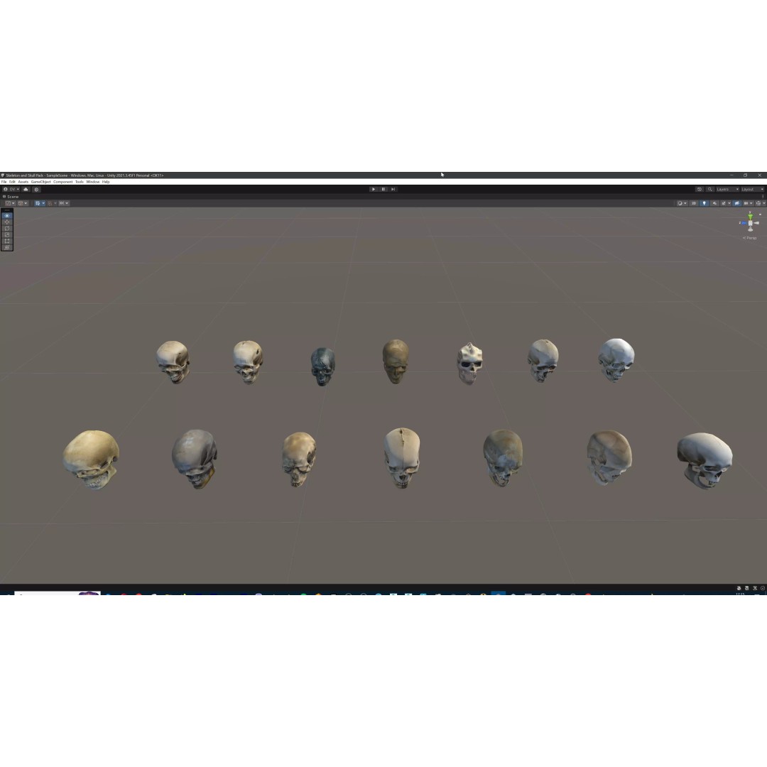 Ultimate Skeleton and Skull Pack 3D Model – Low Poly Game-Ready Assets, FBX - View 70