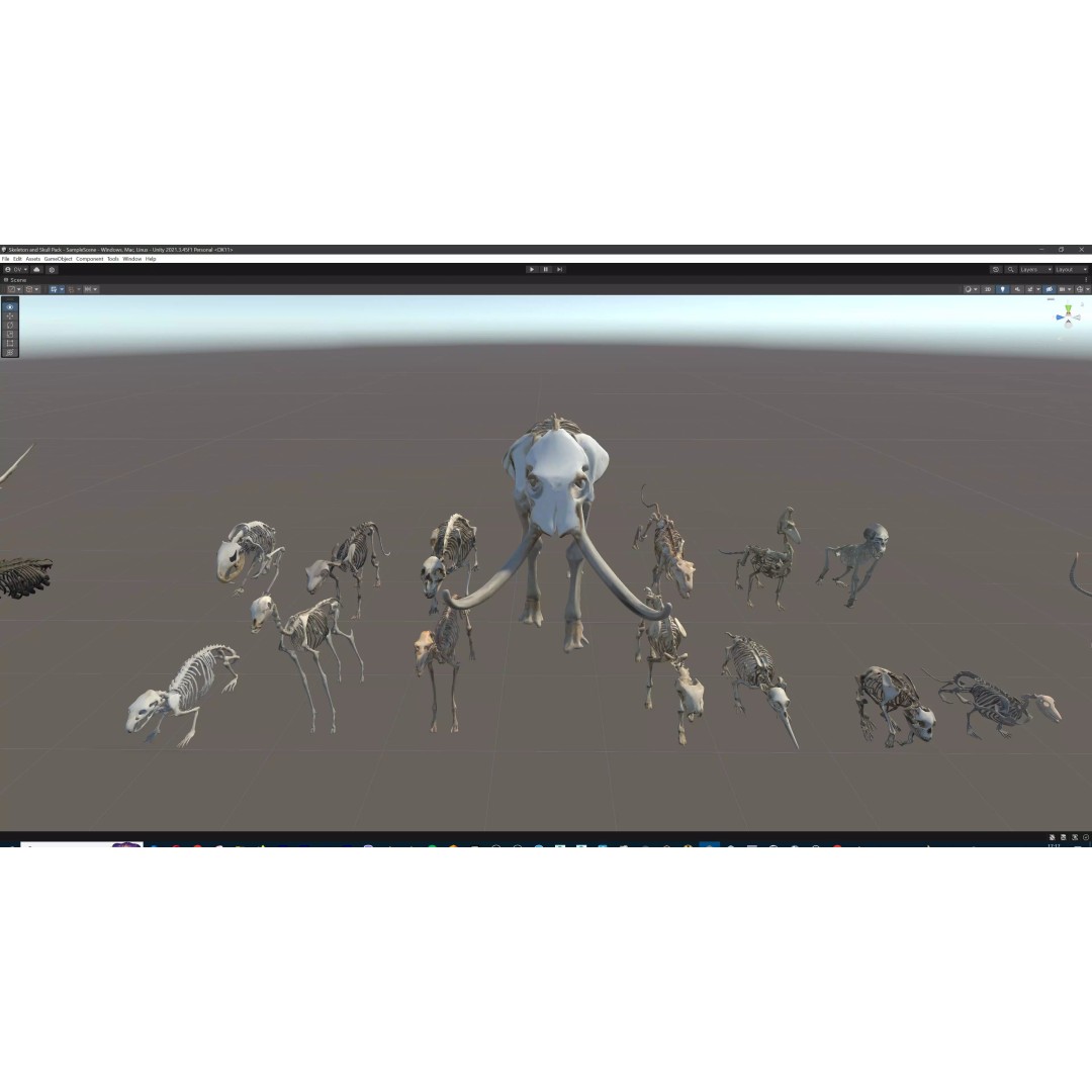 Ultimate Skeleton and Skull Pack 3D Model – Low Poly Game-Ready Assets, FBX - View 71