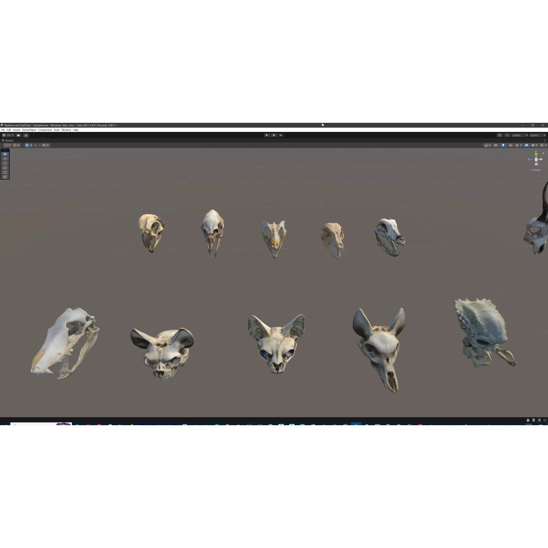 Ultimate Skeleton and Skull Pack 3D Model – Low Poly Game-Ready Assets, FBX - View 72