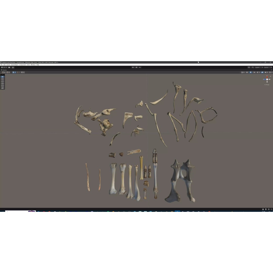 Ultimate Skeleton and Skull Pack 3D Model – Low Poly Game-Ready Assets, FBX - View 75