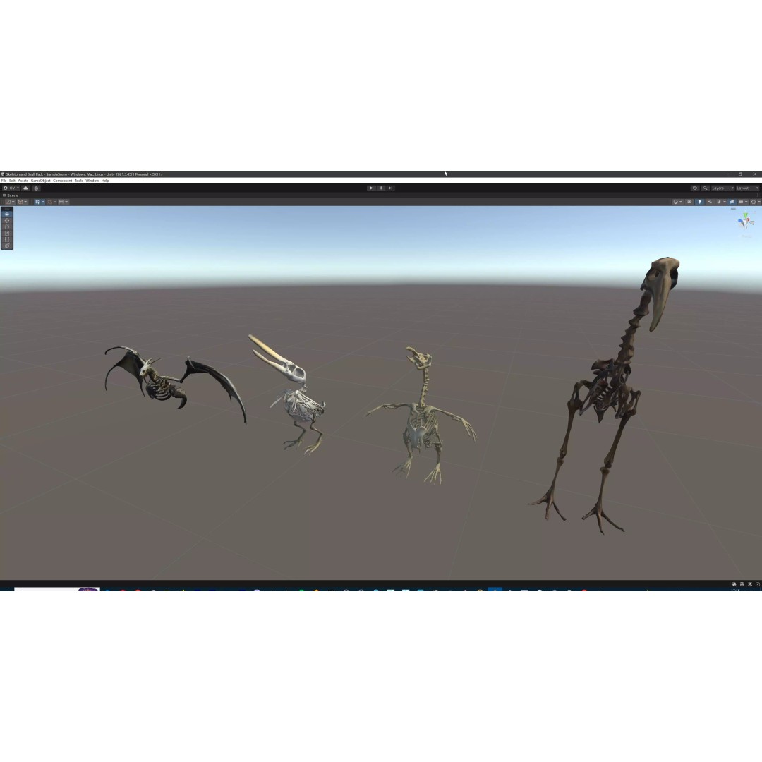 Ultimate Skeleton and Skull Pack 3D Model – Low Poly Game-Ready Assets, FBX - View 76