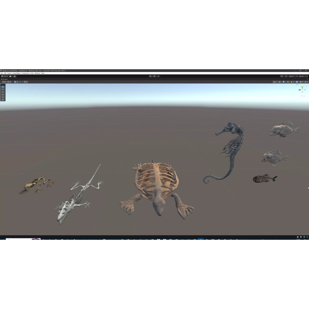 Ultimate Skeleton and Skull Pack 3D Model – Low Poly Game-Ready Assets, FBX - View 77
