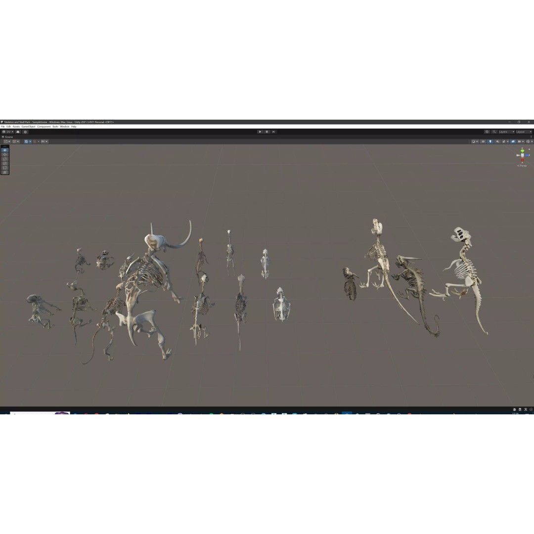 Ultimate Skeleton and Skull Pack 3D Model – Low Poly Game-Ready Assets, FBX - View 78