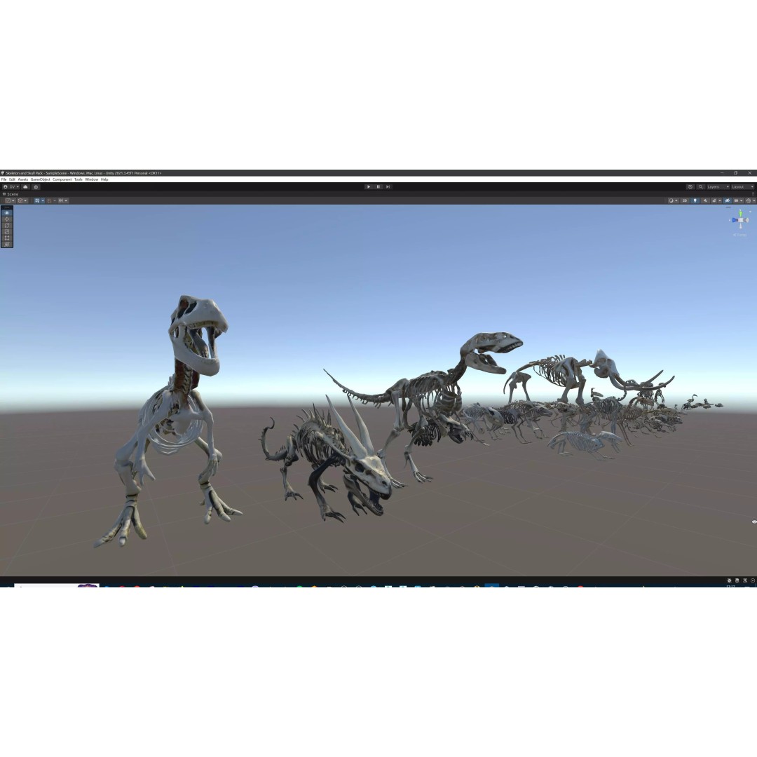 Ultimate Skeleton and Skull Pack 3D Model – Low Poly Game-Ready Assets, FBX - View 79