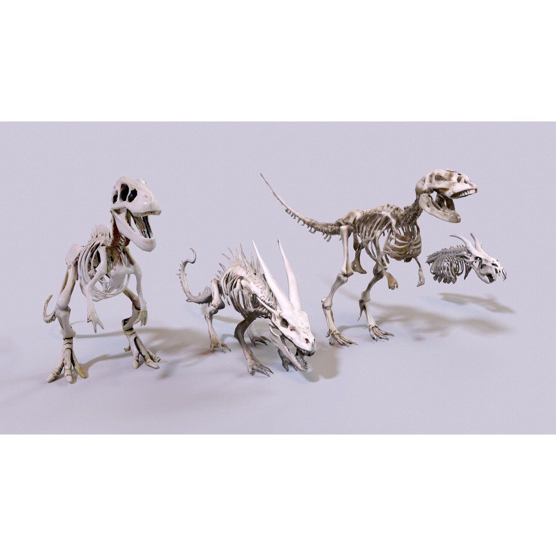 Ultimate Skeleton and Skull Pack 3D Model – Low Poly Game-Ready Assets, FBX - View 8