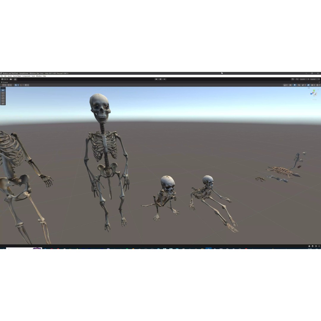 Ultimate Skeleton and Skull Pack 3D Model – Low Poly Game-Ready Assets, FBX - View 80
