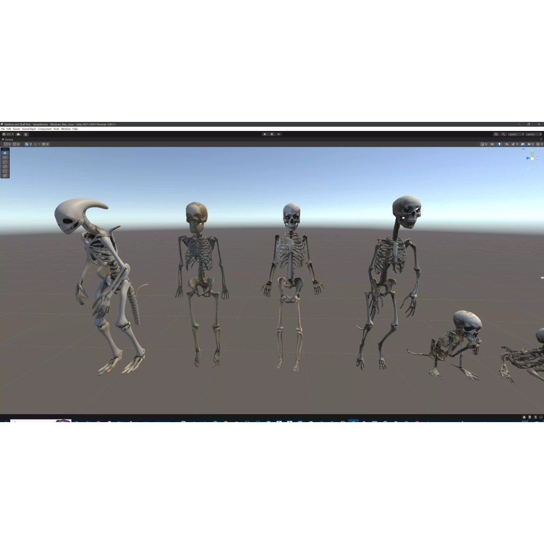 Ultimate Skeleton and Skull Pack 3D Model – Low Poly Game-Ready Assets, FBX - View 81