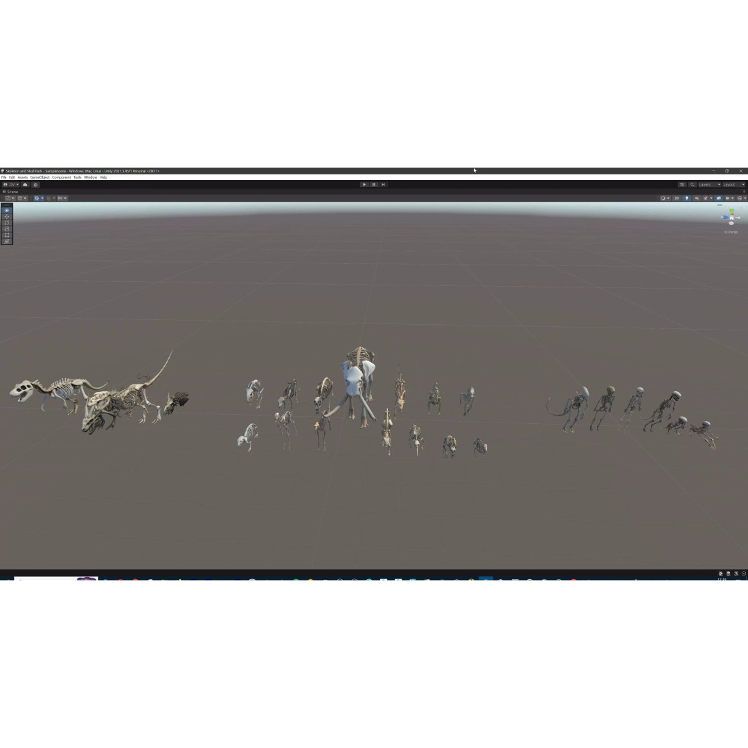 Ultimate Skeleton and Skull Pack 3D Model – Low Poly Game-Ready Assets, FBX - View 82