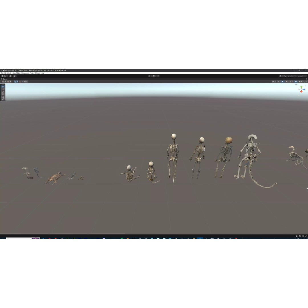 Ultimate Skeleton and Skull Pack 3D Model – Low Poly Game-Ready Assets, FBX - View 83