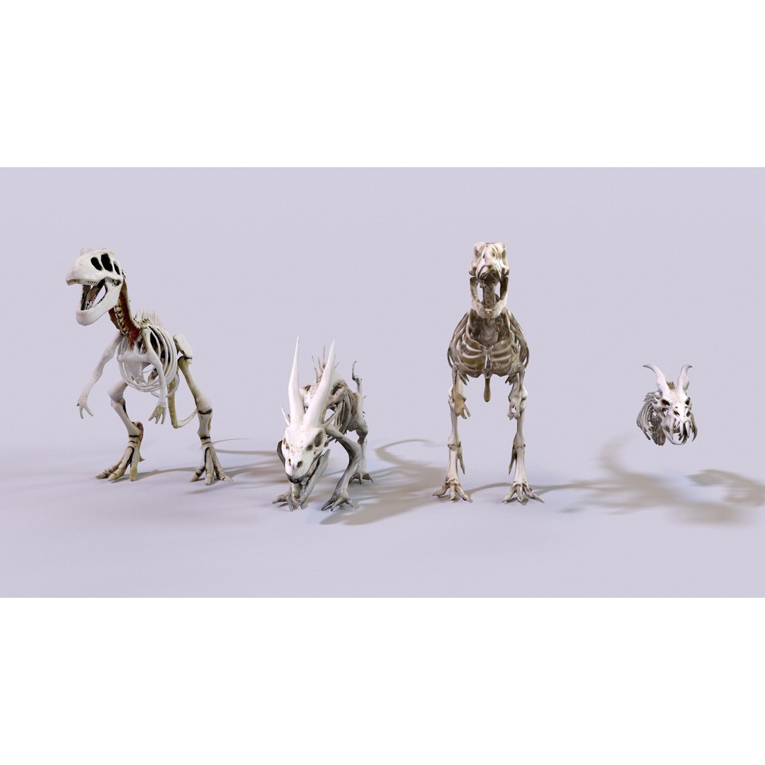 Ultimate Skeleton and Skull Pack 3D Model – Low Poly Game-Ready Assets, FBX - View 9