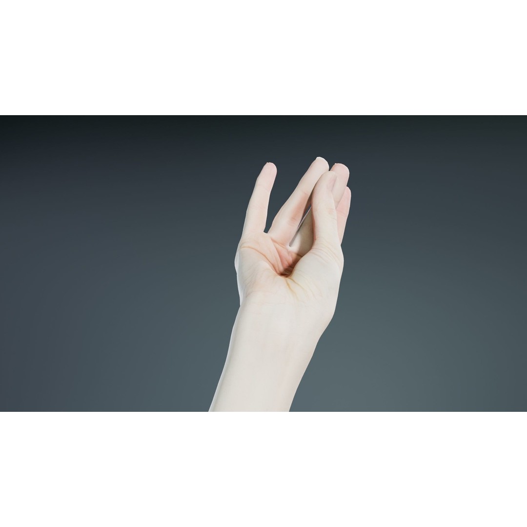 Single Hand 3D Model – Low Poly Character with PBR Textures - View 10
