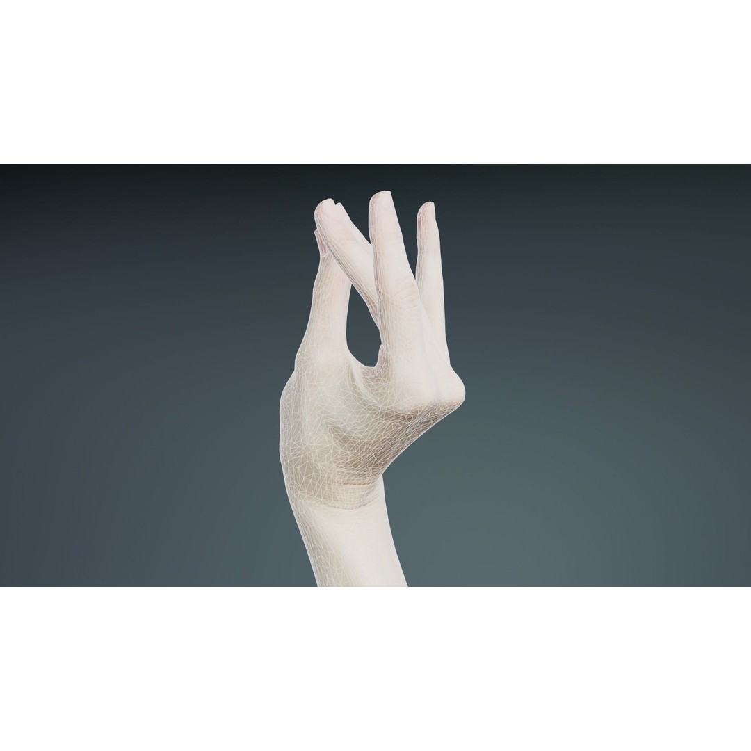 Single Hand 3D Model – Low Poly Character with PBR Textures - View 11