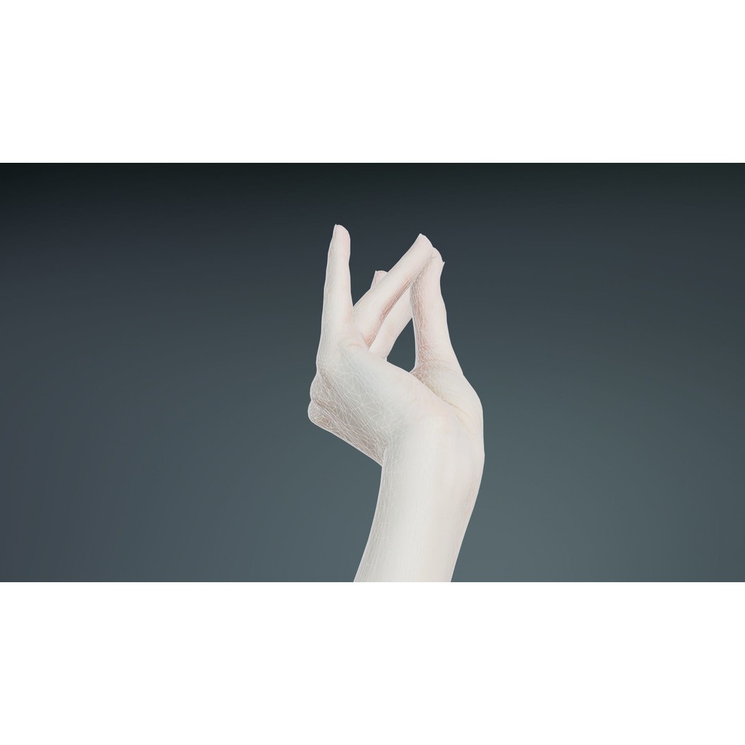 Single Hand 3D Model – Low Poly Character with PBR Textures - View 12